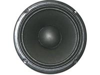 SPEAKER REPLACEMENT 8" 150W RMS 8E [TF0818]