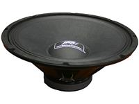 SPEAKER REPLACEMENT 12" CHI DS [PVI12"]