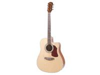 41" DREADNOUGHT ELLECTRIC ACOUSTIC GUITAR [PD21 LC2 EQ]